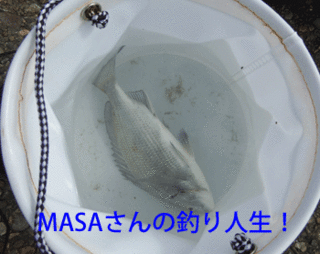 masa01557.gif