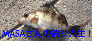 masa01562.gif