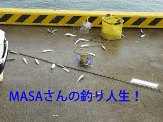 masa01565.gif