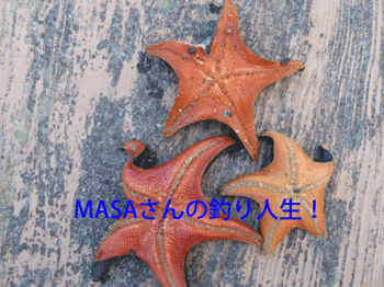 masa01600.gif