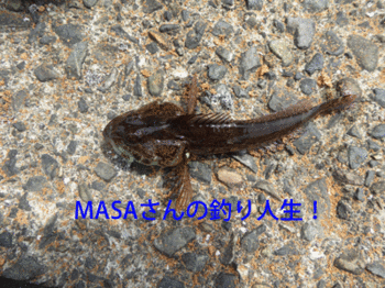 masa01644.gif