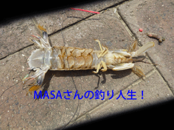 masa01654.gif