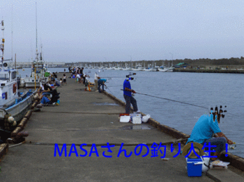masa01671.gif