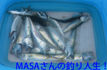 masa01670.gif