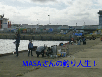 masa01692.gif