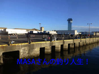 masa01716.gif