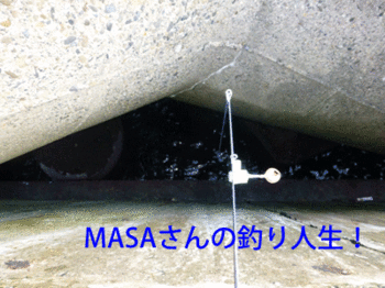 masa01725.gif