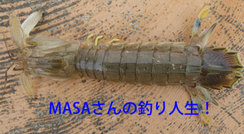 masa01737.gif