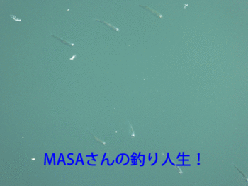 masa01739.gif