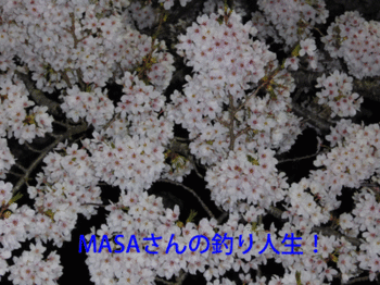 masa01743.gif