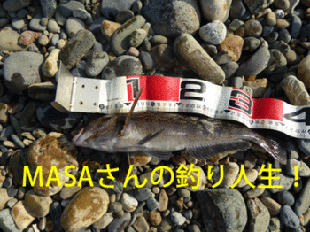 masa01744.gif