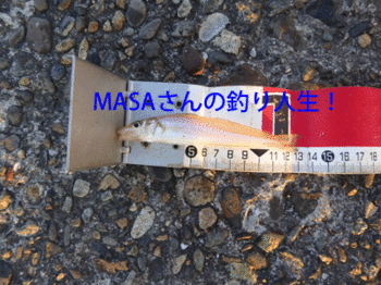 masa01760.gif