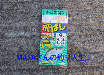 masa01762.gif
