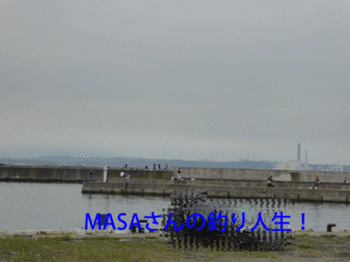 masa01768.gif