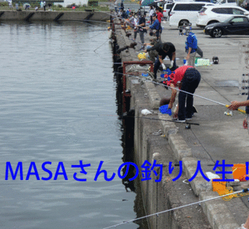 masa01772.gif