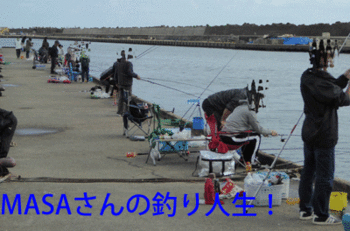 masa01778.gif