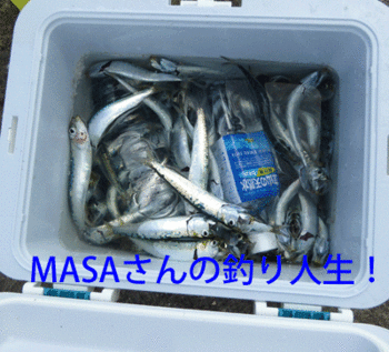 masa01779.gif