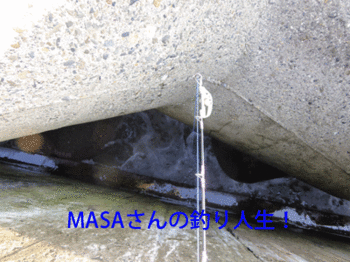 masa01785.gif
