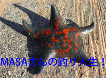 masa01813.gif