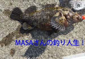 masa01821.gif