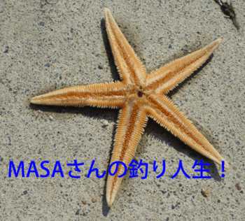 masa01825.gif