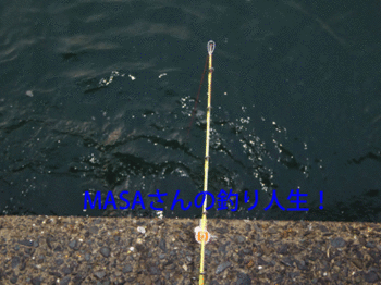masa01828.gif