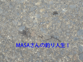 masa01831.gif