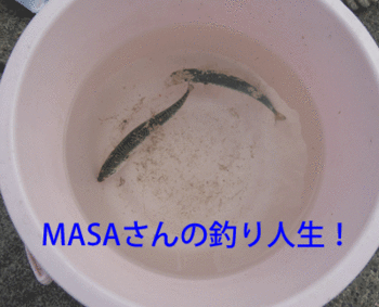 masa01833.gif