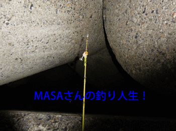 masa01865.gif
