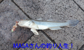 masa01878.gif