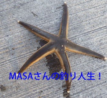 masa01886.gif