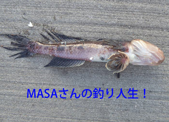 masa01891.gif