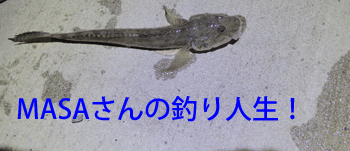 masa01892.gif