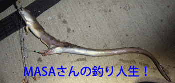 masa01893.gif