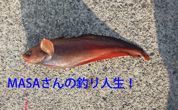 masa01901.gif