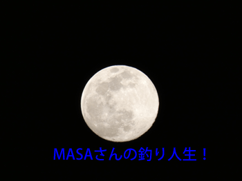 masa01904.gif