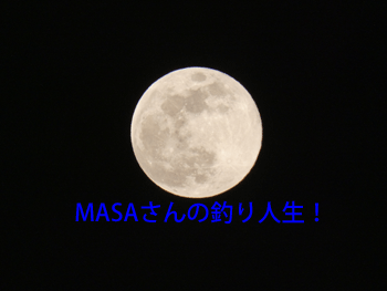 masa01905.gif