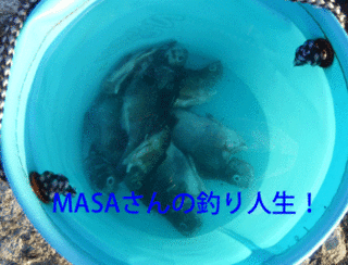 wan01555.gif